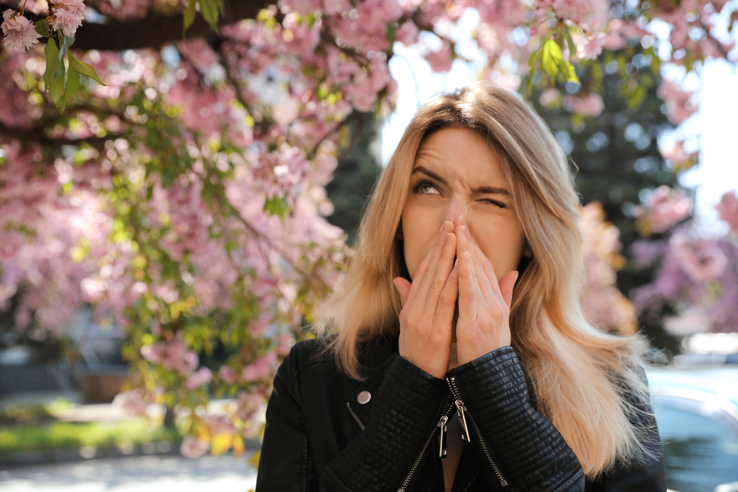 A blonde woman covering her nose and mouth while sneezing outside near blooming pink cherry blossoms.